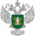 Случаи выявления карантинных вредных объектов в Свердловской области за февраль 2013 г.